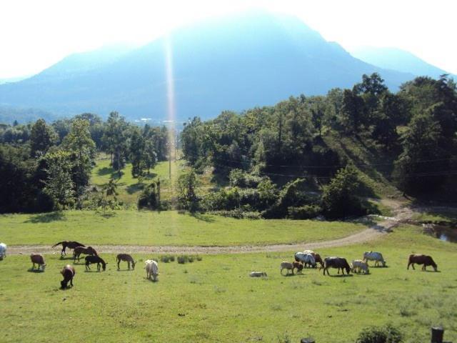 Agriturismo Il Balcone sulla Valle Bedero Valcuvia Esterno foto
