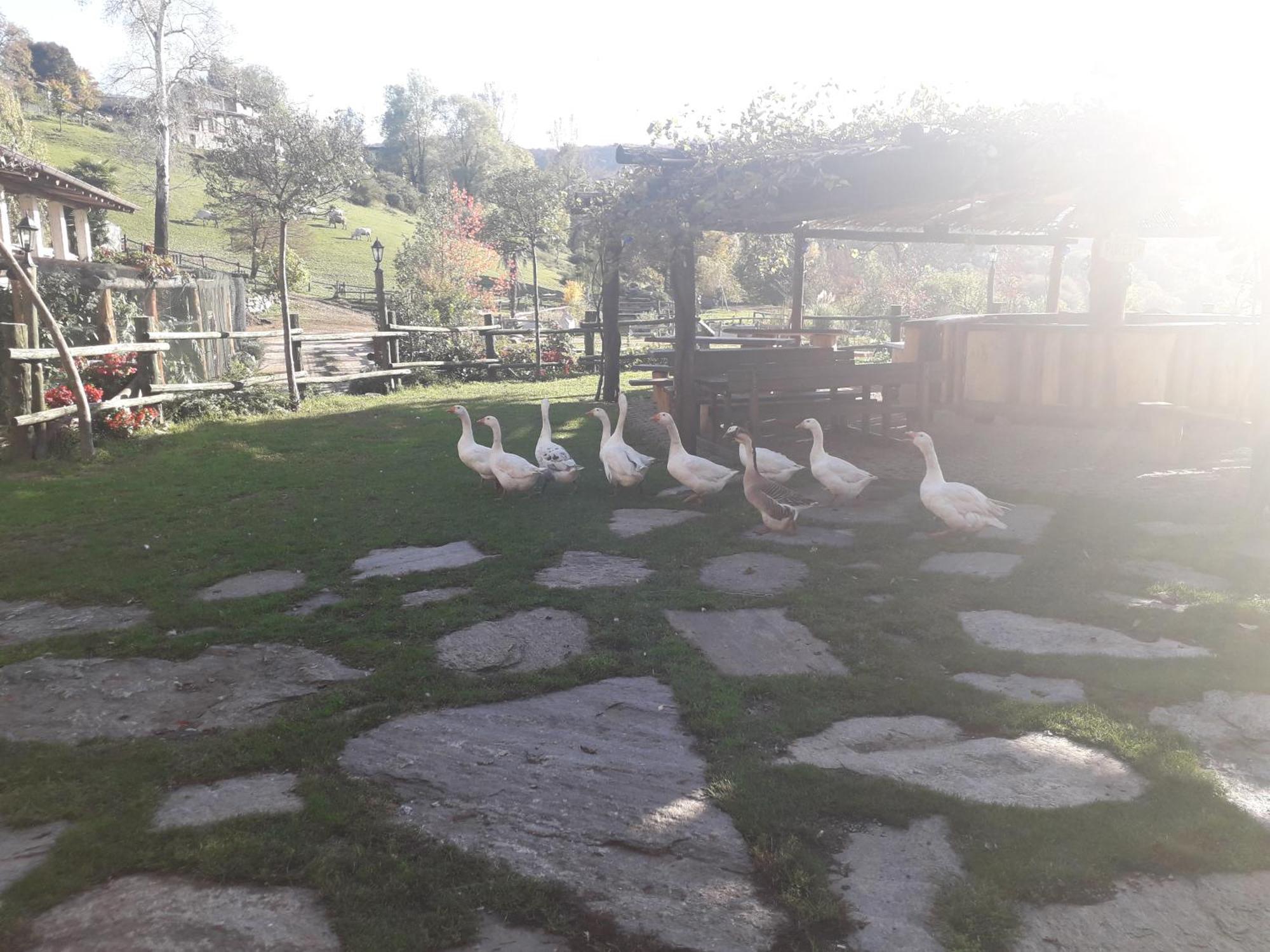 Agriturismo Il Balcone sulla Valle Bedero Valcuvia Esterno foto